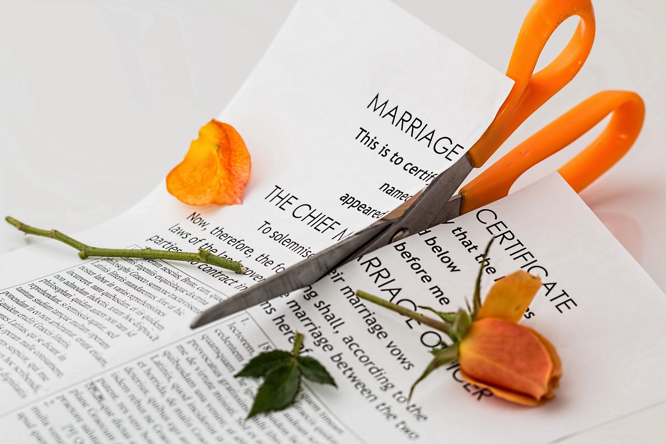 Marriage certificate being cut in half