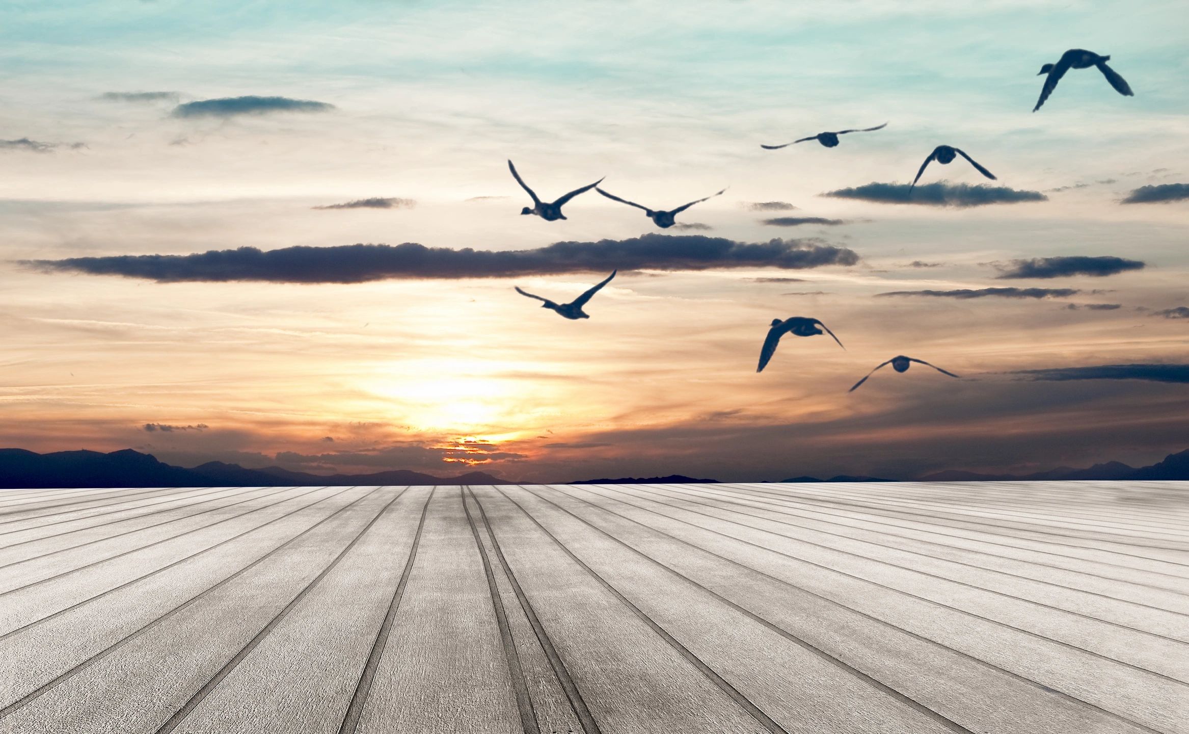 Seagulls flying into sunset deeper thoughts about life